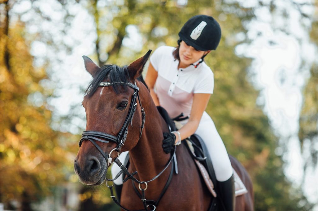 Top 8 Most Important and Effective Horse Riding Tips